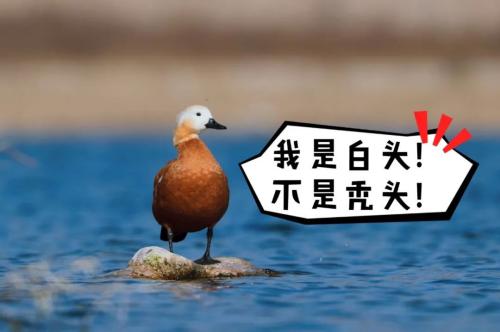 微信图片_20211016175803(1)
