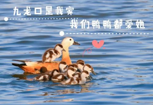 微信图片_20211016175828(1)