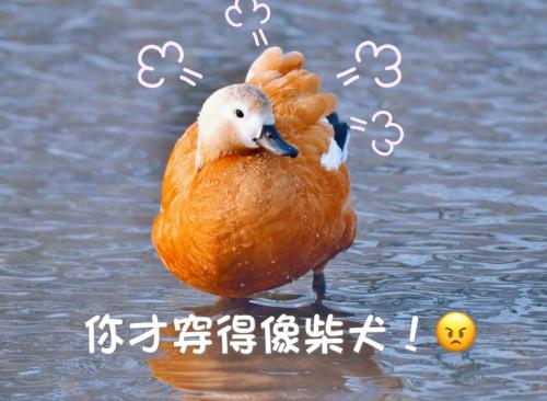 微信图片_20211016175755(1)