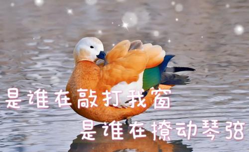 微信图片_20211016175748(1)