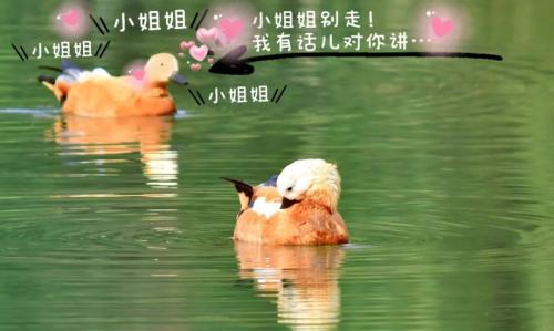 微信图片_20211016175814(1)