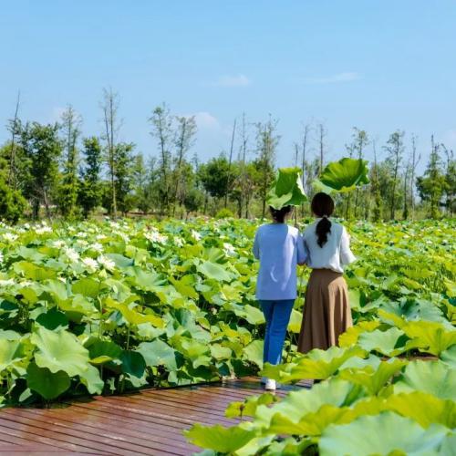 青岛方所文化创意有限公司-01(1)