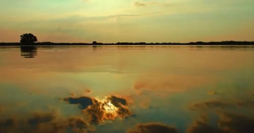 640.webp (10)(1)