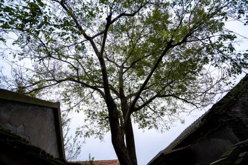 640.webp (7)(1)