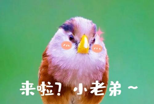 640.webp (3)(1)