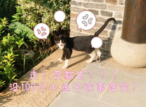 640.webp (6)(1)
