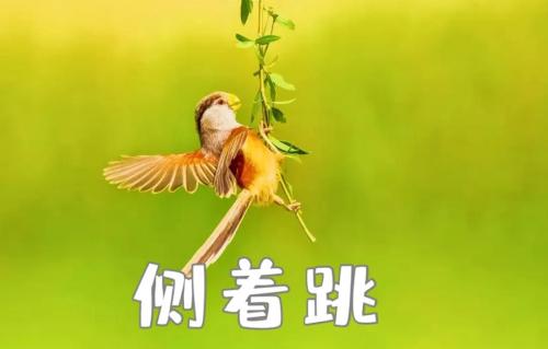 640.webp (6)(1)