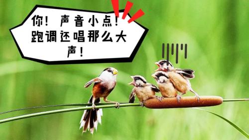 640.webp (10)(1)