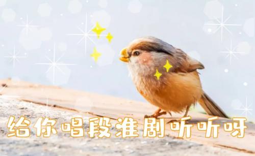 640.webp (4)(1)