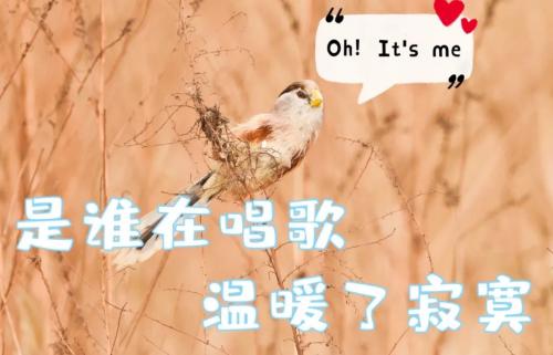 640.webp(1)