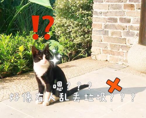 640.webp (5)(1)