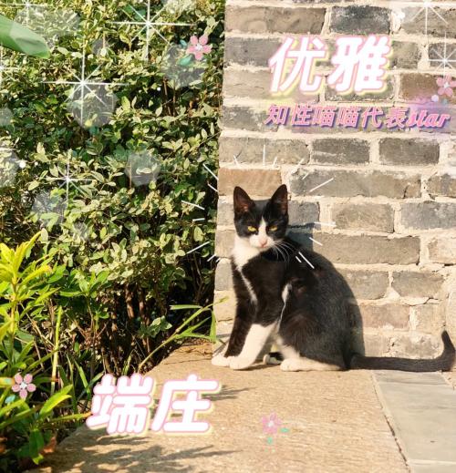 640.webp (7)(1)