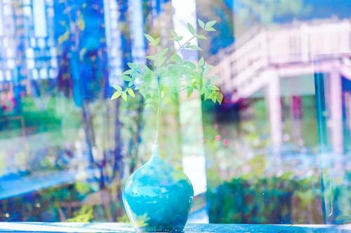 640.webp (14)(1)
