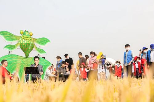 640.webp (14)(1)