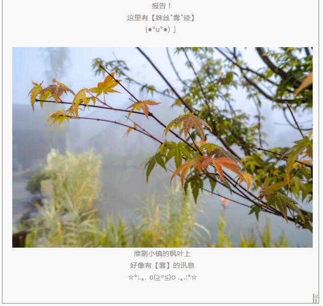 QQ截图20211119104626