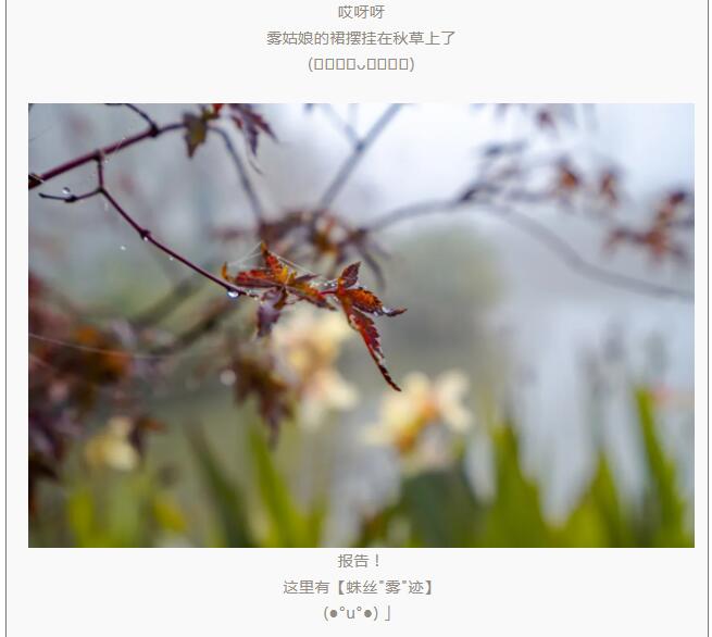 QQ截图20211119104616