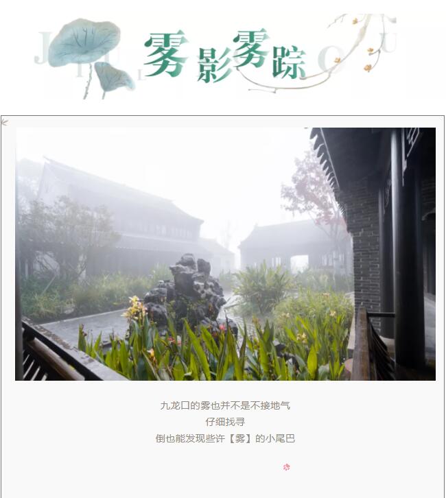 QQ截图20211119104546
