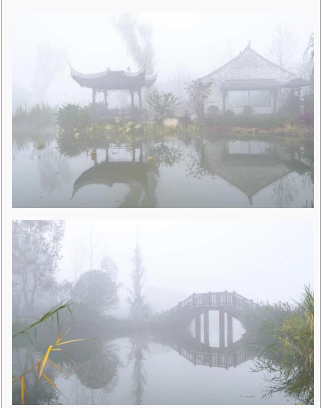 QQ截图20211119104513