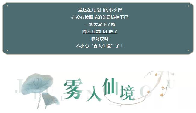 QQ截图20211119104430