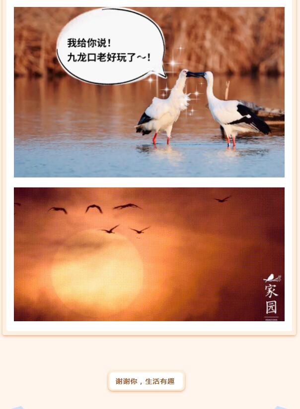 QQ截图20211127111940
