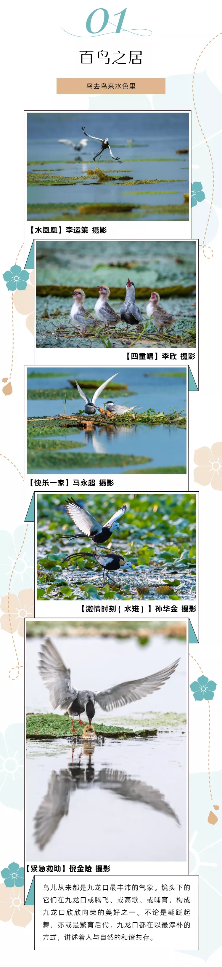 640.webp