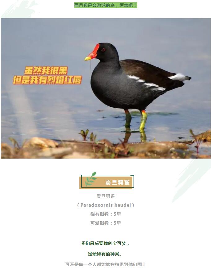 1.9